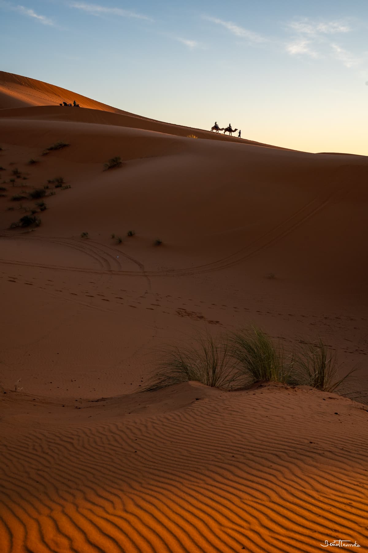Erg Chebbi