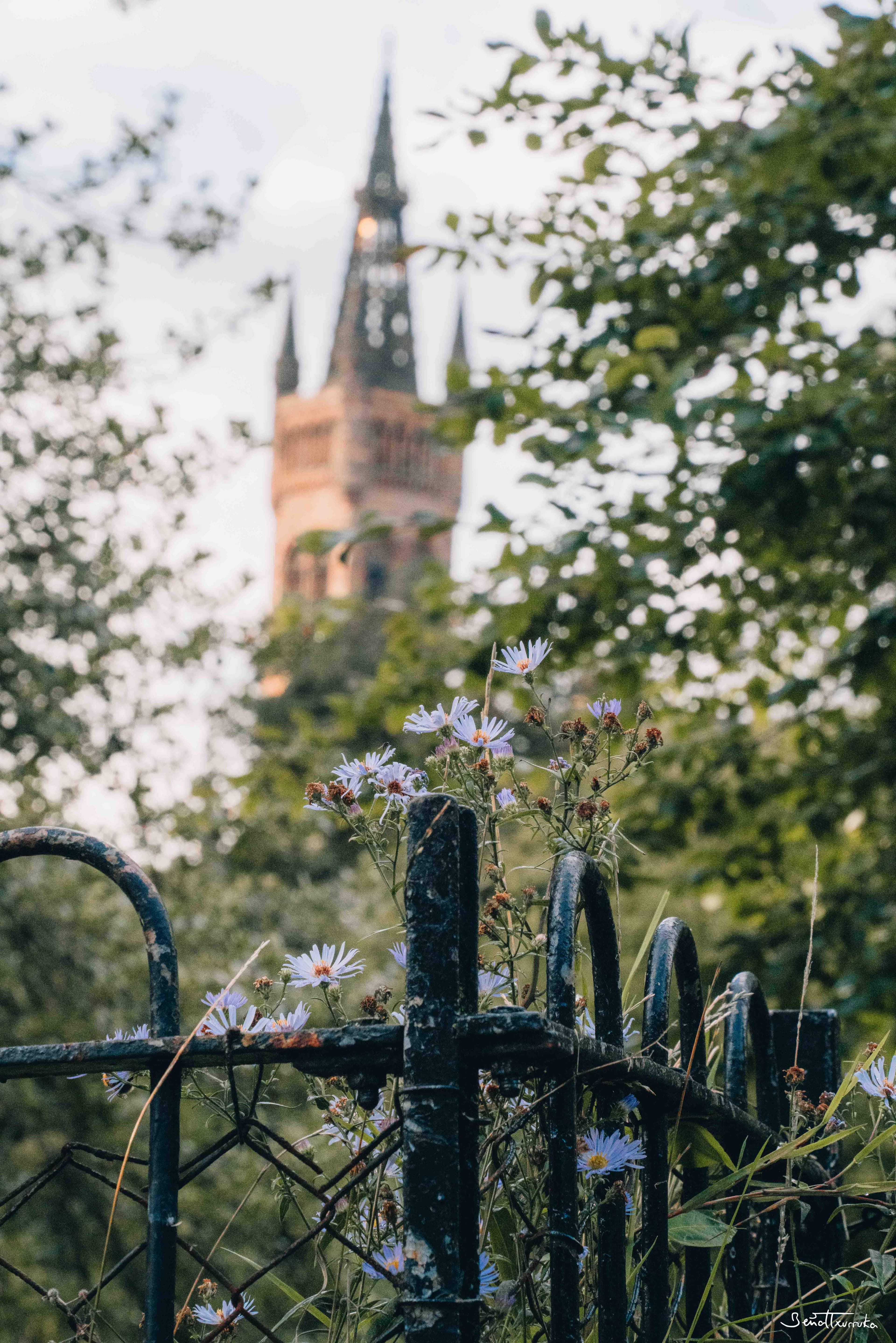 Kelvingrove Park