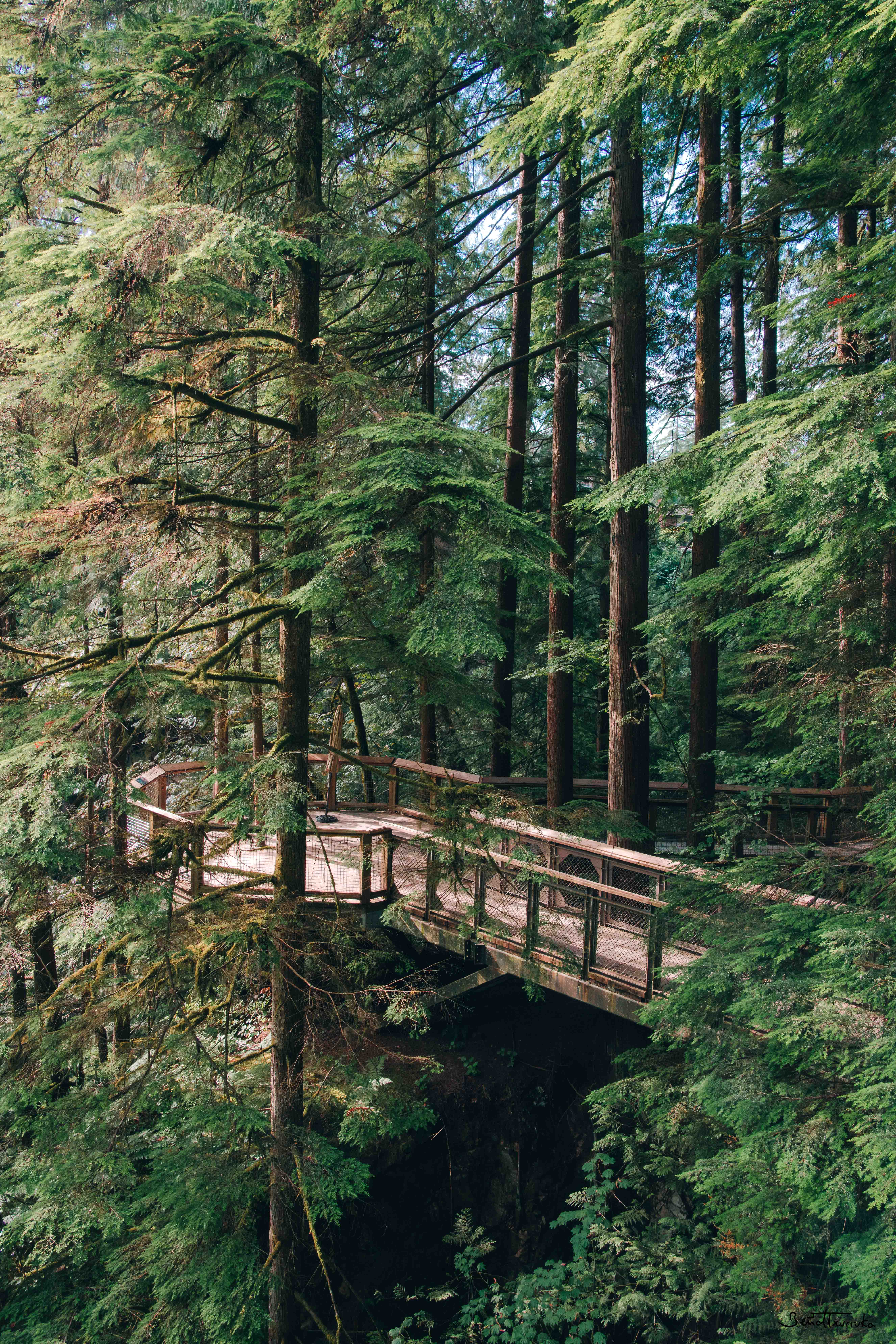 Capilano